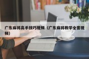 广东麻将高手技巧视频（广东麻将教学全套视频）