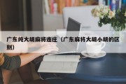广东纯大胡麻将连庄（广东麻将大胡小胡的区别）