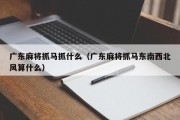 广东麻将抓马抓什么（广东麻将抓马东南西北风算什么）